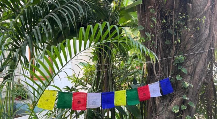 Club Denovo Hotel Butwal Bagian luar foto