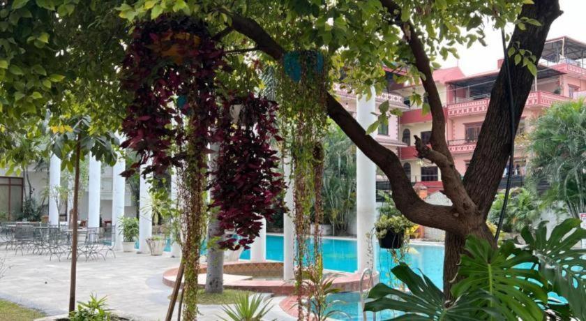 Club Denovo Hotel Butwal Bagian luar foto