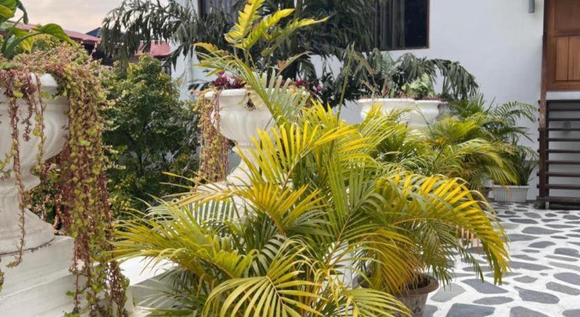 Club Denovo Hotel Butwal Bagian luar foto